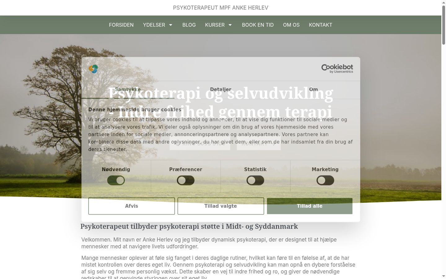 Skærmbillede af samtykkebanneret, som det blev vist før nogen interaktion