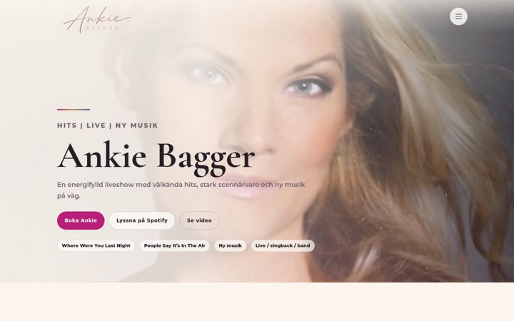 Screenshot of ankiebagger.com