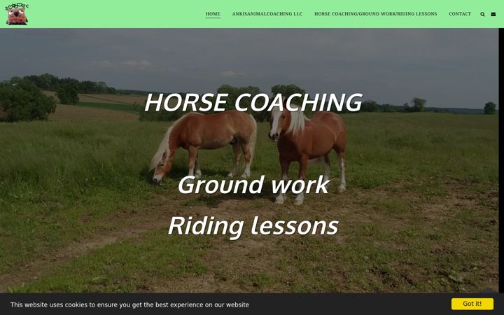 Screenshot of ankisanimalcoaching.com
