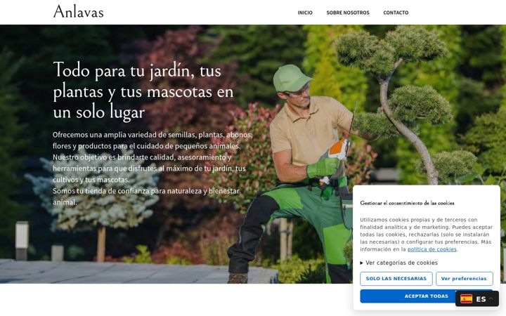 Screenshot of anlavas.com