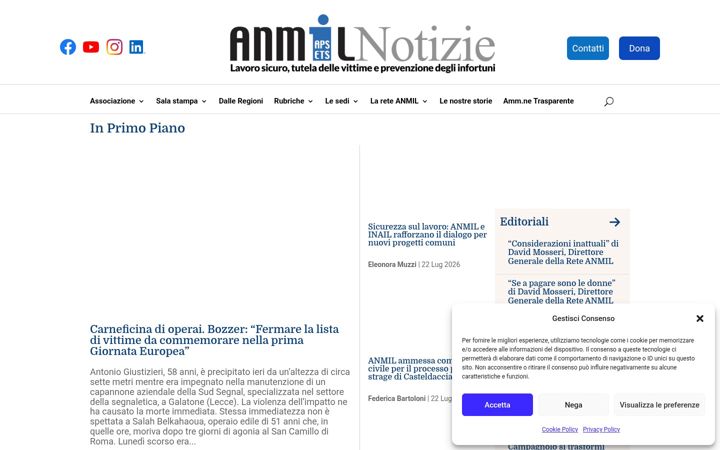Screenshot of anmil.it