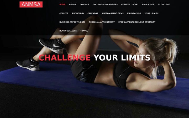 Screenshot of anmsa.us