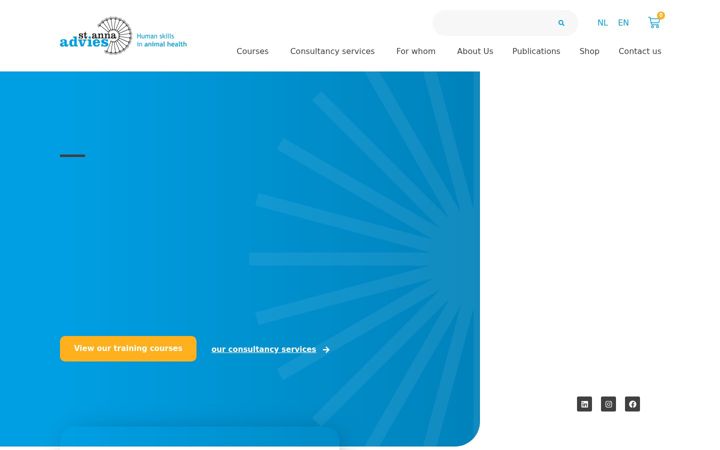 Snímek obrazovky anna-advies.com