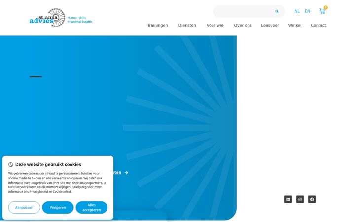 Screenshot di anna-advies.nl