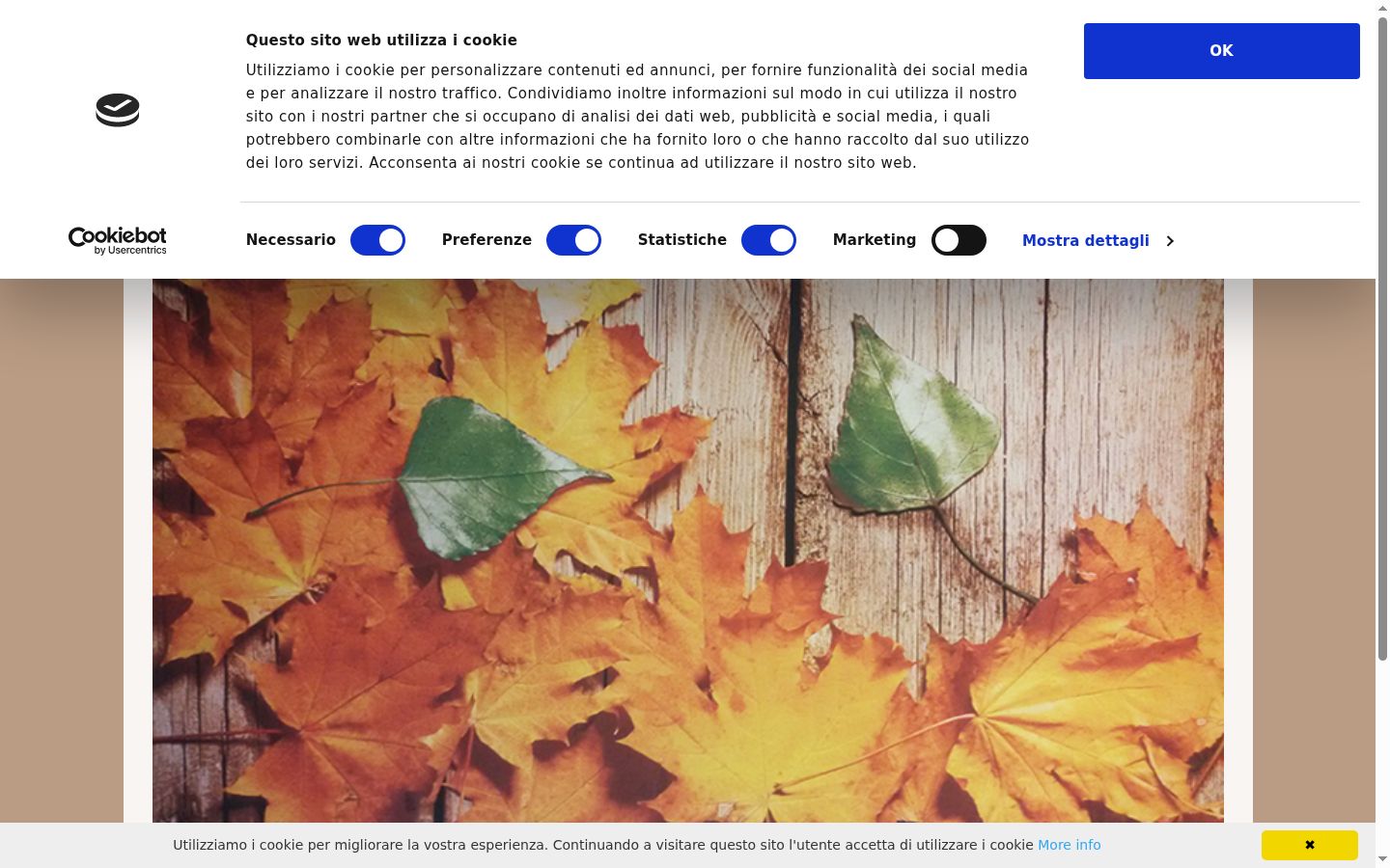 Screenshot del banner di consenso mostrato prima di qualsiasi interazione