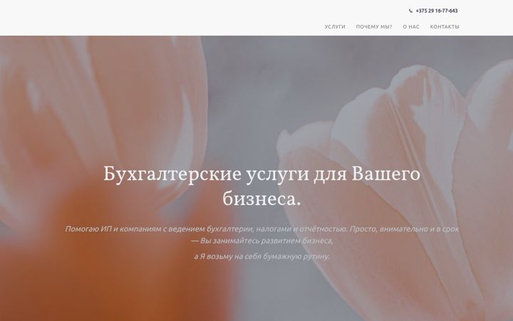 Screenshot of anna-bux.by