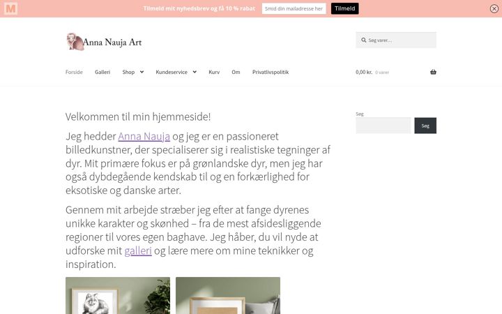 Ekraanipilt saidist anna-nauja-art.dk