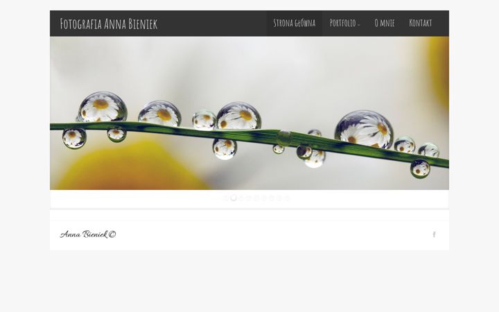 Screenshot of annabieniek.com