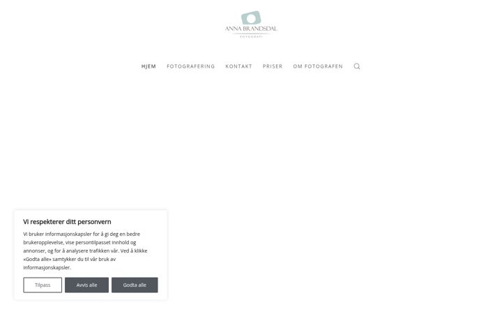 Screenshot stránky annabrandsdal.no