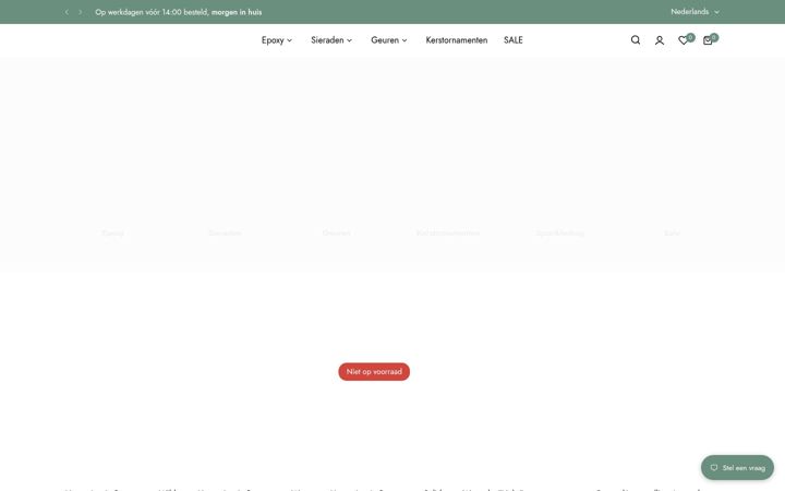 Screenshot of annadesy.nl