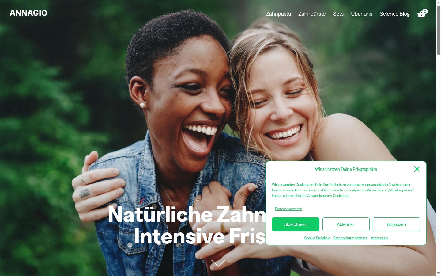 Sutikimo reklamjuostės, rodytos prieš bet kokią sąveiką, ekrano kopija