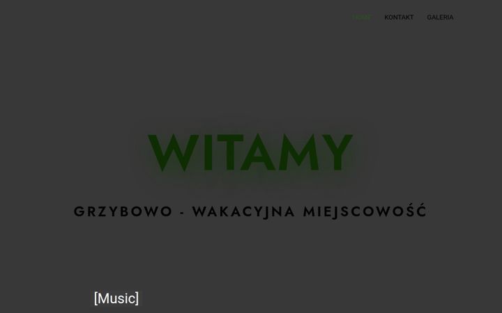 annagrzybowo.pl