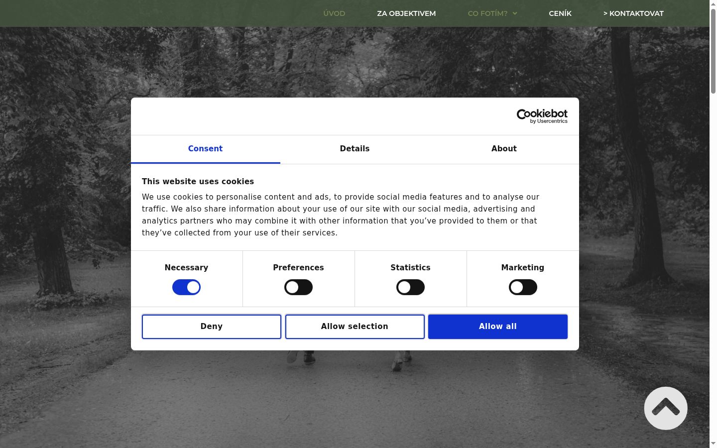 Screenshot of the consent banner shown before any interaction