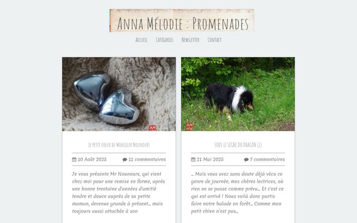 Screenshot of annamel.fr