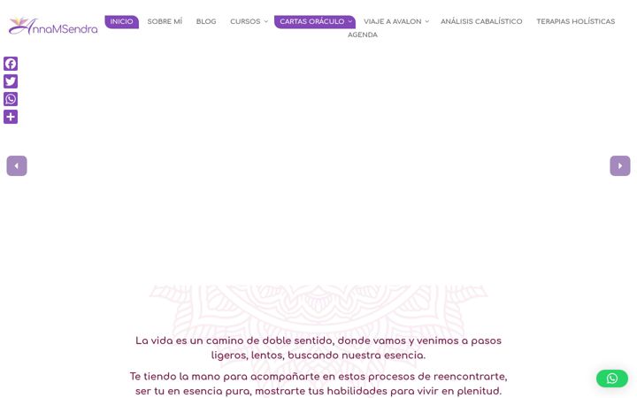 Screenshot van annamsendra.com