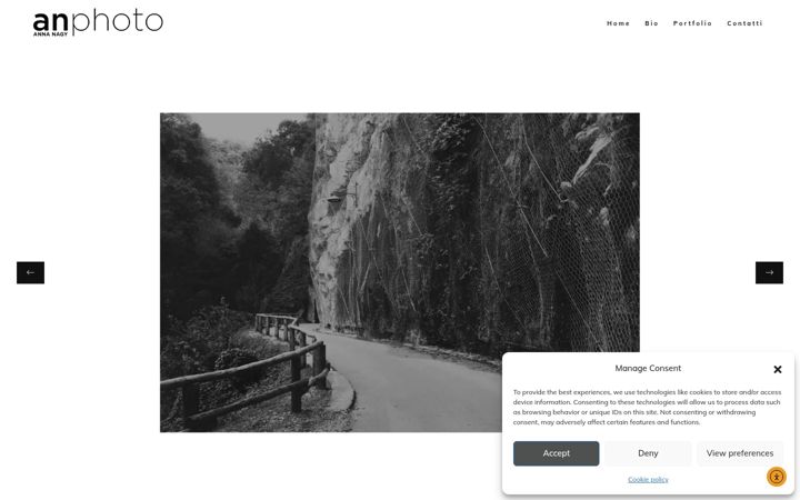 Screenshot of annanagyphoto.com