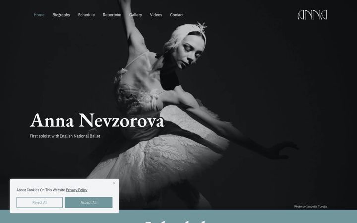 Screenshot van annanevzorova.com