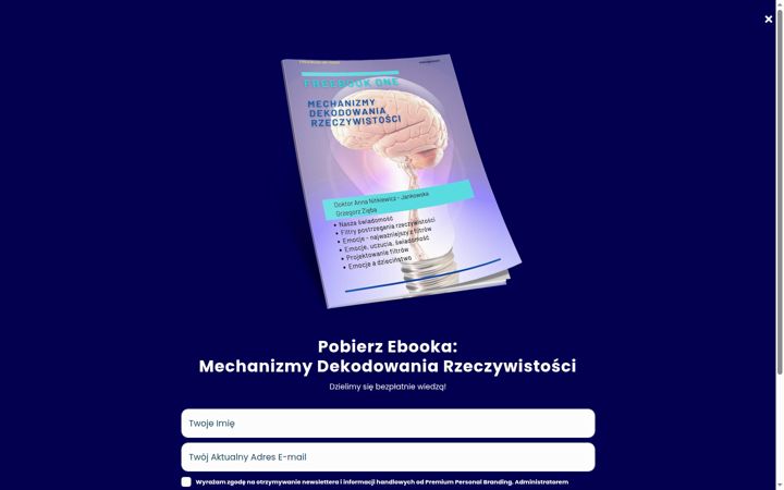 Screenshot of annanitkiewiczjankowska.pl