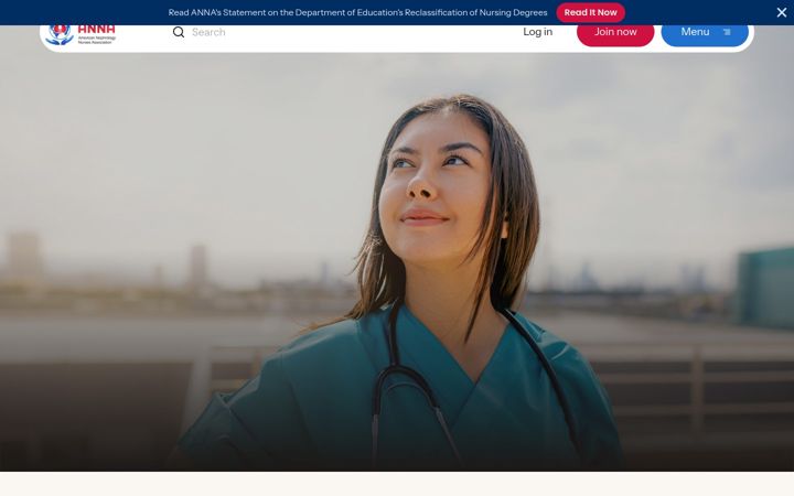 Snímek obrazovky annanurse.org