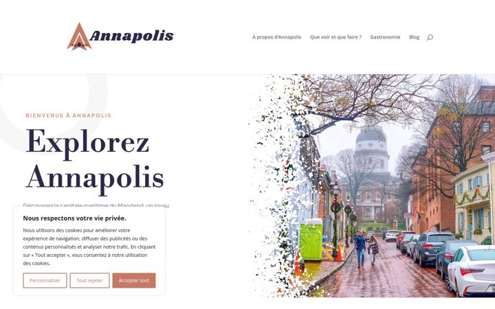 Zrzut ekranu annapolis.fr
