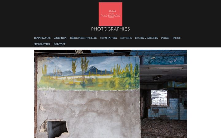 Screenshot of annapuigrosado.net