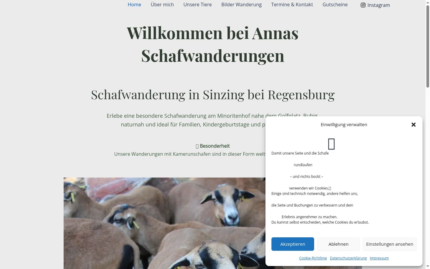 Screenshot des Einwilligungsbanners vor jeglicher Interaktion