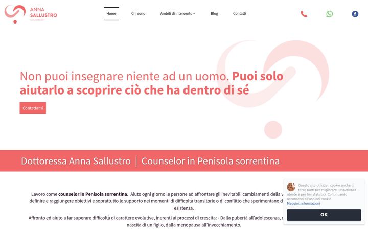 Screenshot of annasallustro.com