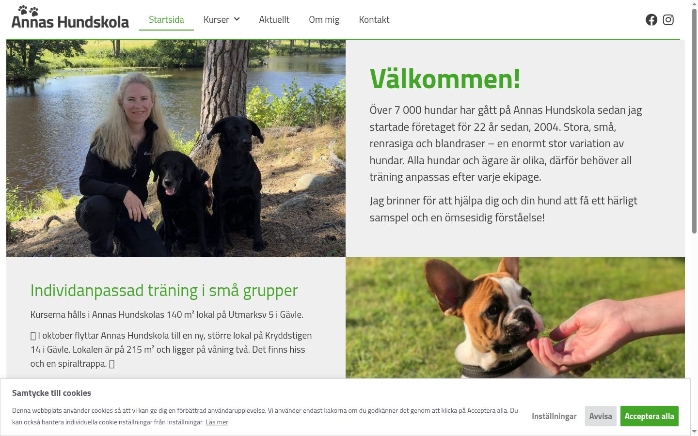 Screenshot des Einwilligungsbanners vor jeglicher Interaktion