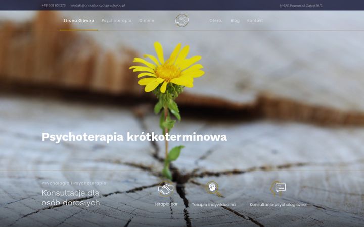 Screenshot of annastanczakpsycholog.pl