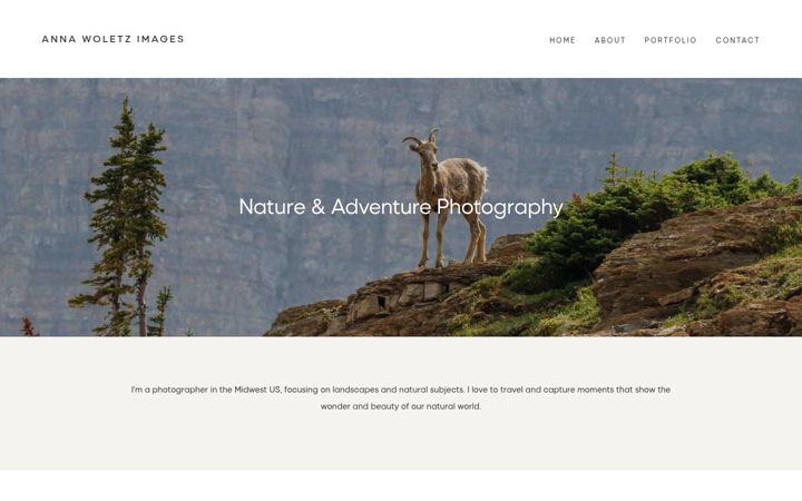 Screenshot of annawoletzimages.com