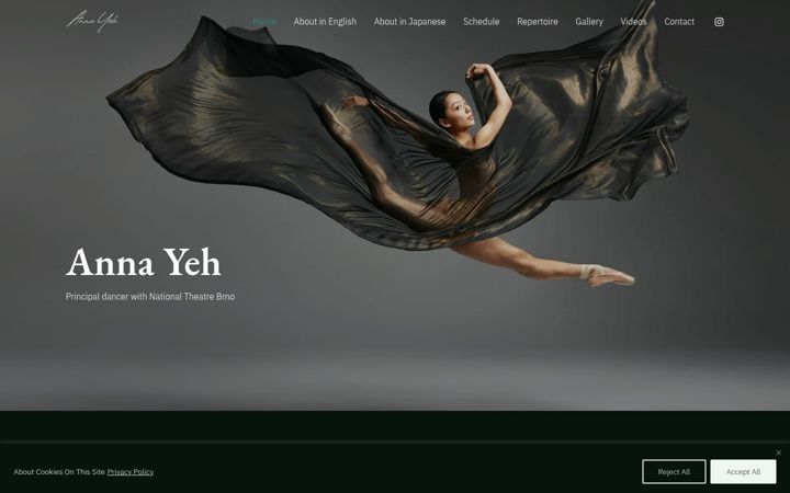 Captura de pantalla de annayehdance.com