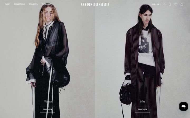 Screenshot of anndemeulemeester.com