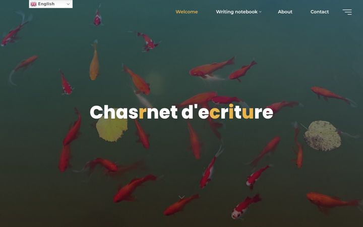 Captura de pantalla de anne-dealbert.com