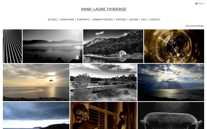 Screenshot of anne-laure-thibierge.com