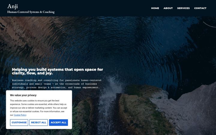 Screenshot of anne-noelle.com