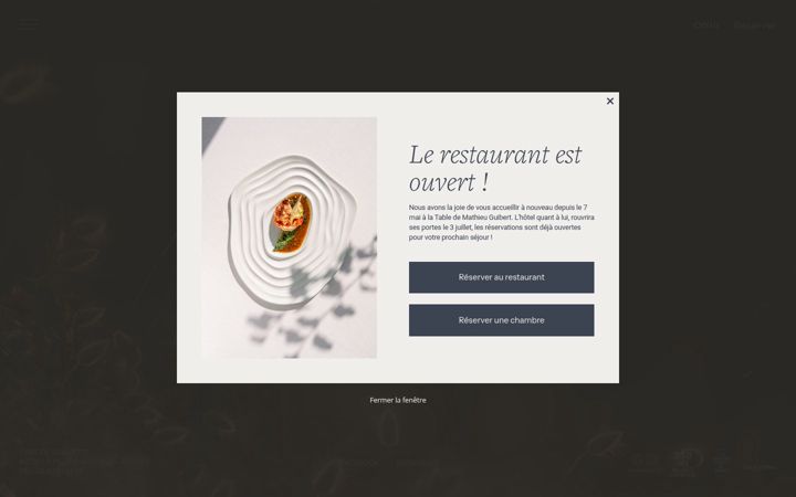 Екранна снимка на annedebretagne.com