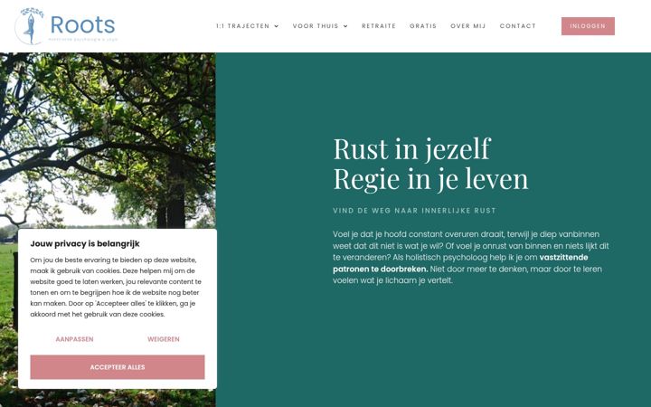 Screenshot von anneheesakkers.nl