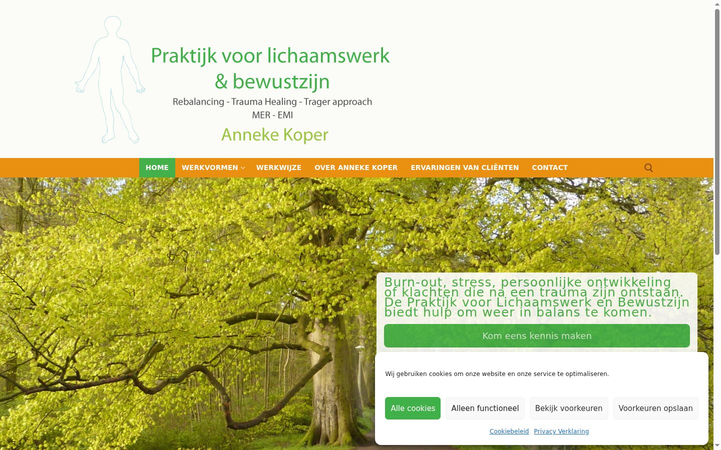 Screenshot tal-banner tal-kunsens muri qabel kwalunkwe interazzjoni