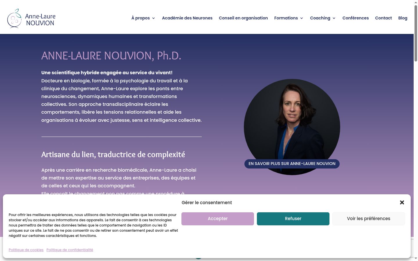 Screenshot of the consent banner shown before any interaction