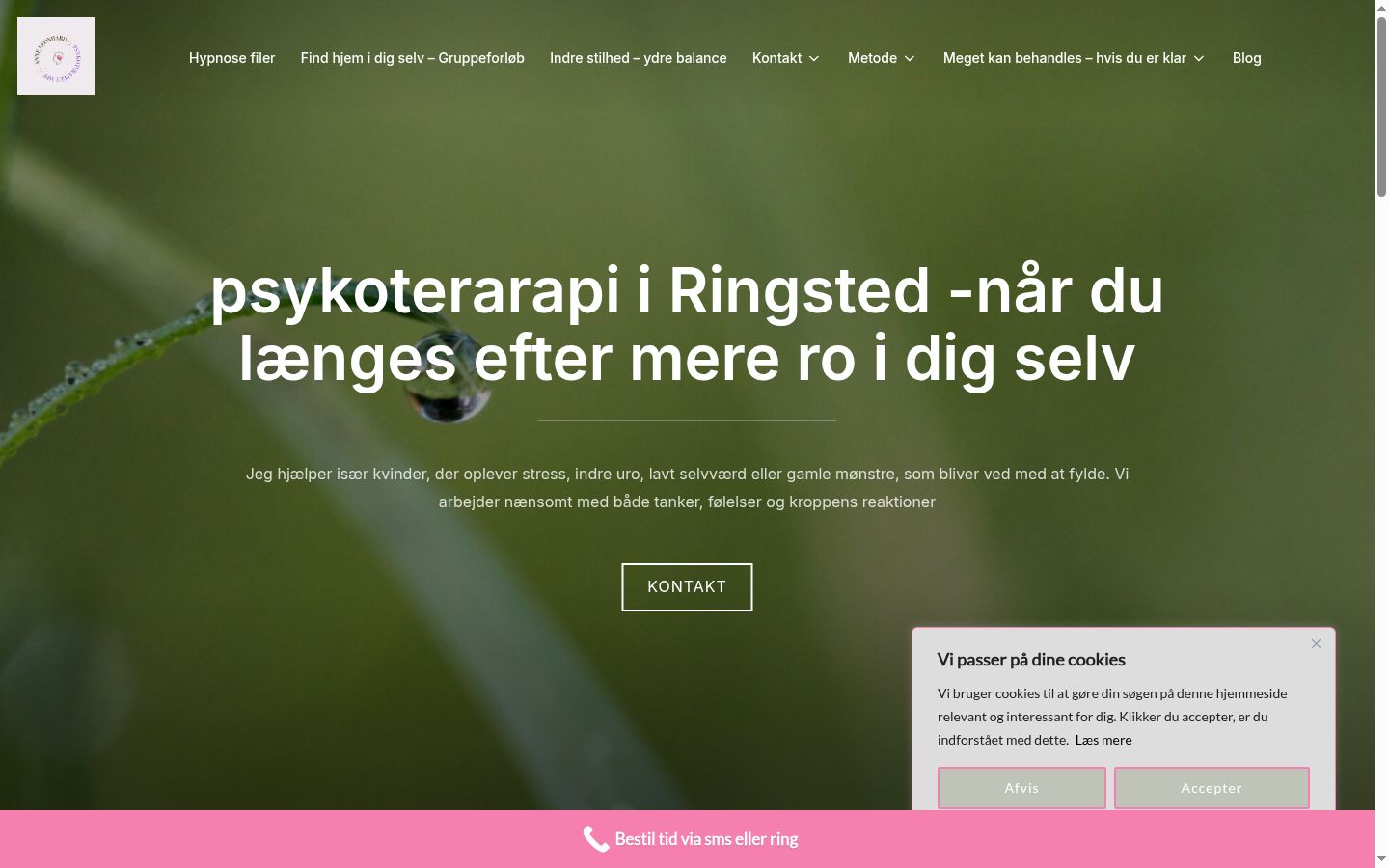 Skærmbillede af samtykkebanneret, som det blev vist før nogen interaktion
