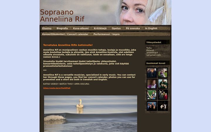 Screenshot of anneliinarif.com