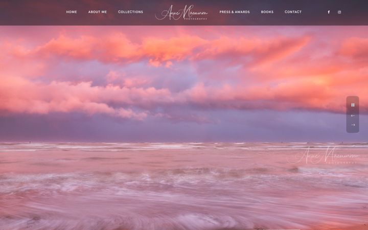 Screenshot of annemaenurm.com