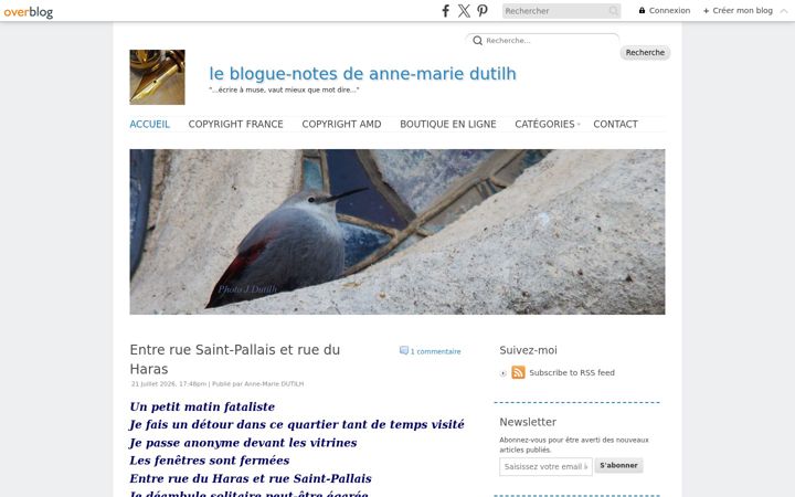 Screenshot of annemariedutilh.com