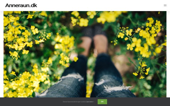 Screenshot of anneraun.dk