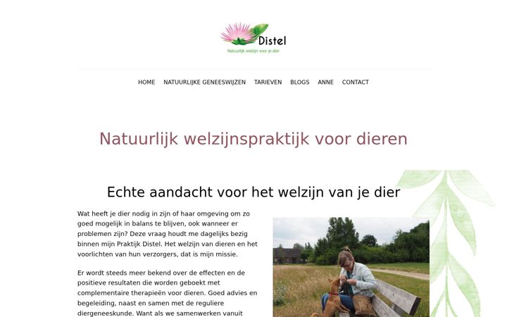 Captura de ecrã de annesevens.nl