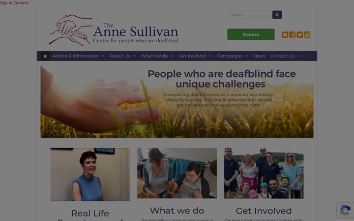 Screenshot of annesullivan.ie