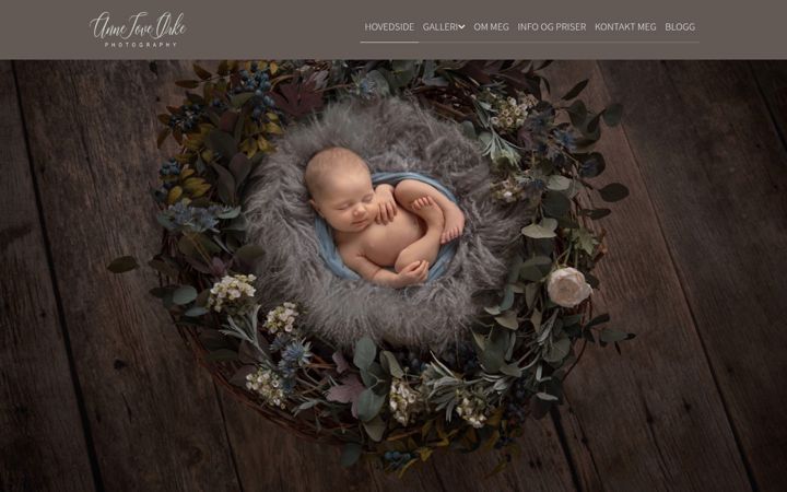 Screenshot of annetoveorke.com