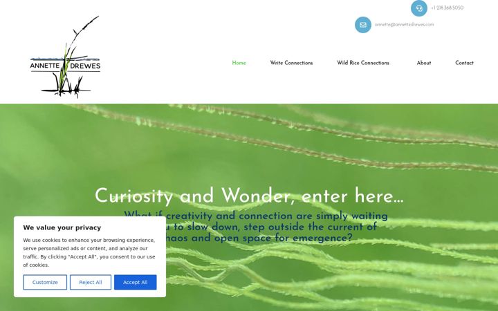 Screenshot of annettedrewes.com