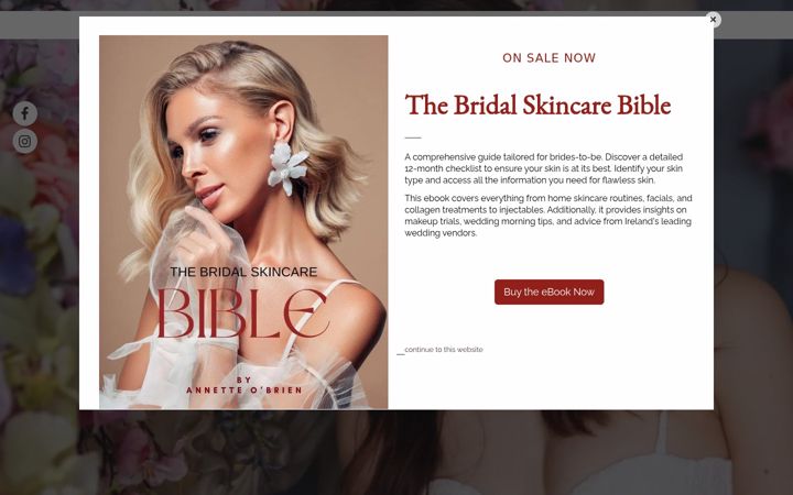 Screenshot of annetteobrienmakeup.com