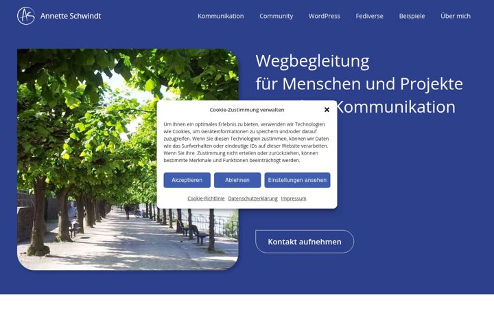 Screenshot of annetteschwindt.digital